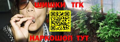 скорость Новозыбков