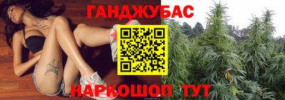 скорость Новозыбков