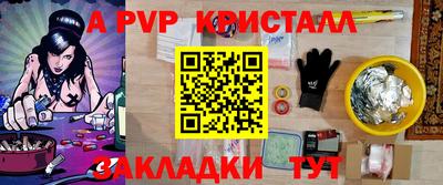 скорость Новозыбков