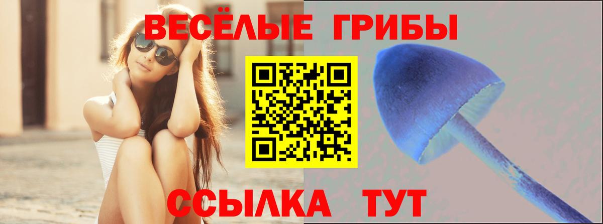 Галлюциногенные грибы Cubensis Урус-Мартан