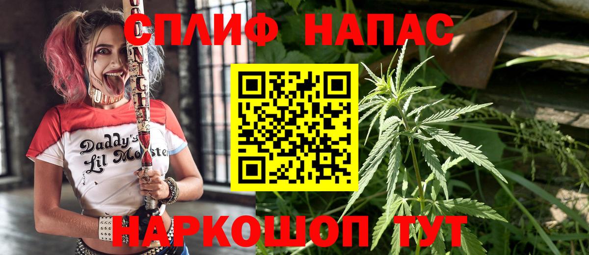 Урус-Мартан  Каннабис семена  Марихуана Ganja  Вход с VPN 